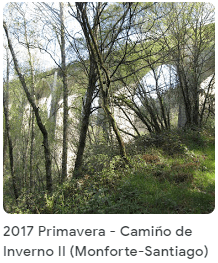 2017 Primavera Camiño de inverno II Monforte Santiago